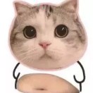 好修