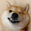 她真是太好呢.