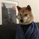 晓风の杨柳