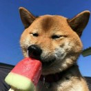 铜城矿工