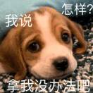 舟