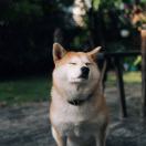 keke