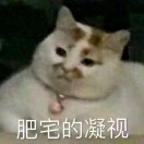 033676