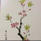 小涛