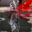 不笑猫